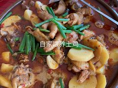 -谭家菜农夫山庄