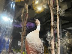 -chi K11艺术空间展览厅