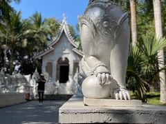 -西双版纳傣族园