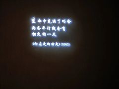 -星河寰宇IMAX影城(星河WORLD·COCO Park店)