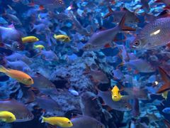 -成都浩海立方海洋公园