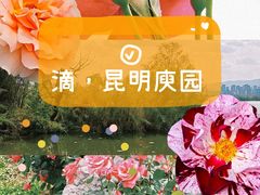 -庾园