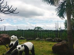 -台湾牛牛肉面(太麻里总店)