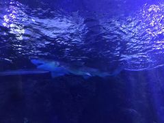 -台州海洋世界
