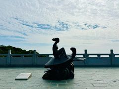-广东惠东海龟国家级自然保护区