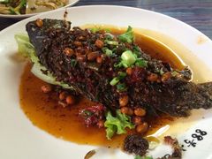 iphone_upload_pic-88号小吃店·经典云南菜·地道纳西美食