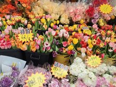 -越秀西湖花市(广州城市广场花卉店)