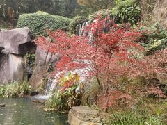 -岳麓山风景名胜区