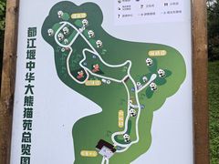 -都江堰中华大熊猫苑