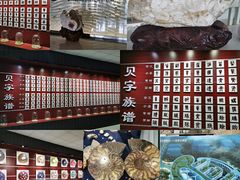 -青岛贝壳博物馆