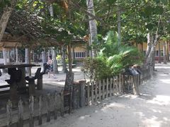 -东郊椰林