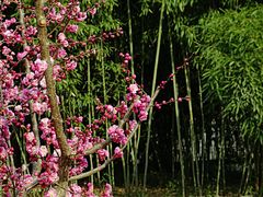 -陕西省西安植物园