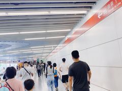 -大望路(地铁站)