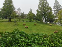 -神户市立六甲山牧场