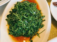 -广玉兰上海菜(德平店)