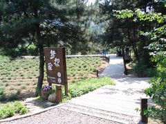 -云峰山自然风景区