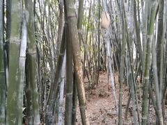 -晓港公园