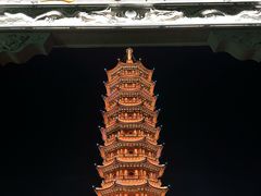-葛仙湖公园