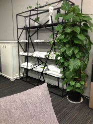 -MJ skin care国际皮肤管理中心