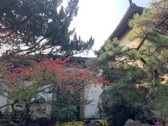-汇龙潭
