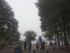 -丁香湖公园