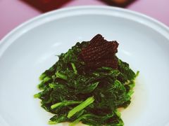 -子福慧(虹桥店)