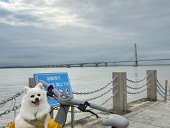 -芒洲湿地公园