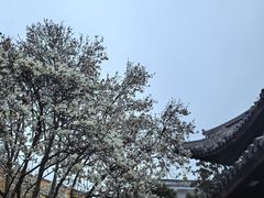 -龙华寺