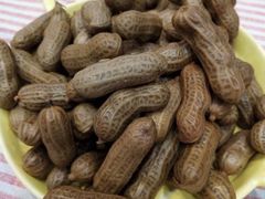 -年轮烧烤·羊蝎子·烤鱼(星湖街店)