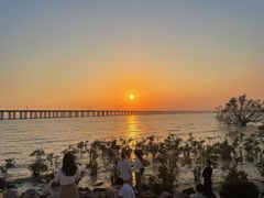 -宝安西湾红树林湿地公园