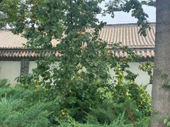 -河间府署