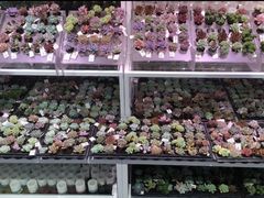 -KKV(深圳宏发大仟里店)