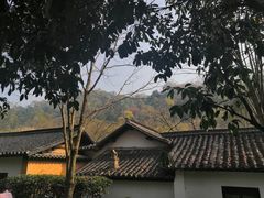 -法云安缦酒店