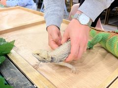 -FAIRYLAND龙族星球主题餐厅(凯丹广场店)