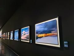 -罗红摄影艺术馆