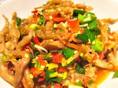 鸭掌筋-壹盏灯(蚂蚁工房店)
