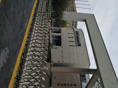 -青岛市图书馆