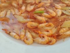 -披云山庄