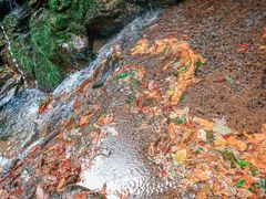 -藏龙百瀑风景区
