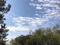 -红山国家森林公园