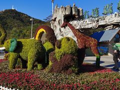 -大连森林动物园