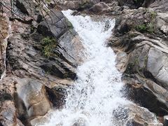 -九龙江国家森林公园