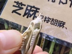 -北戴河集发农业梦想王国