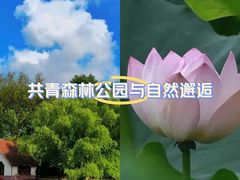 -上海共青森林公园
