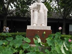 -白洋淀景区