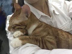 -芭比堂动物医院广州顽皮分院