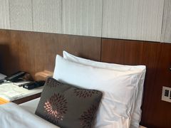 -广州白天鹅宾馆