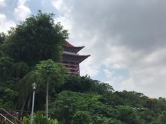 -圆山大饭店-圆苑餐厅