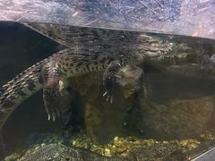 -波塞冬海底世界