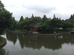 -河泥荡文化公园